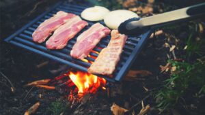Bison rolling grill